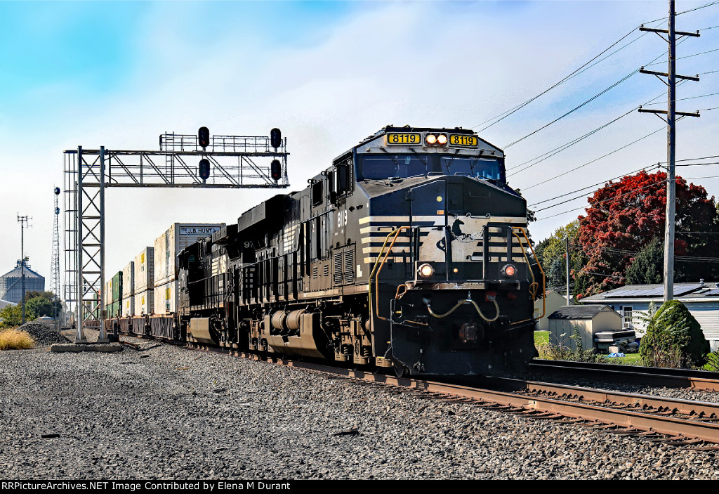 NS 8119 ON 18N